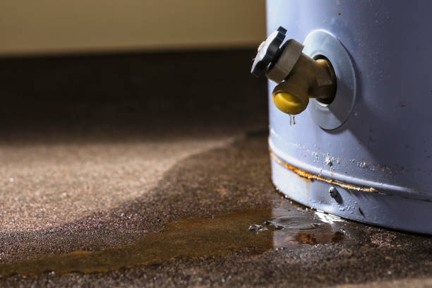 Best Emergency water damage restoration  in Webster Groves, MO