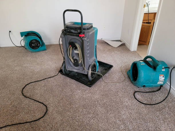 Best Carpet water damage restoration  in Webster Groves, MO