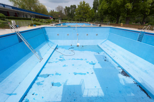 Best Water damage contractors near me  in Webster Groves, MO