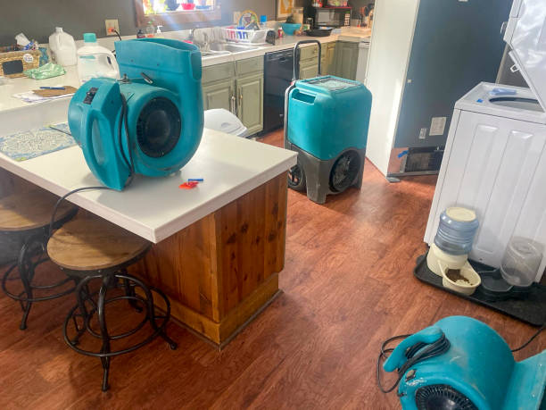 Best Residential water damage restoration  in Webster Groves, MO