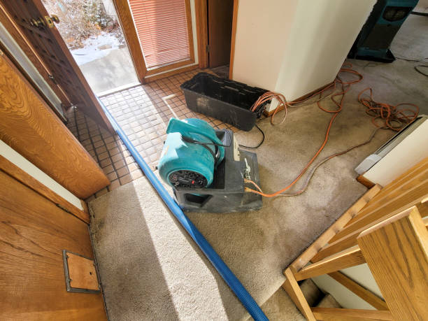 Best Water damage restoration insurance claims  in Webster Groves, MO