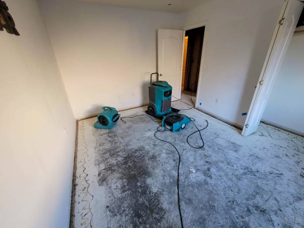 Best Fire Damage Restoration  in Webster Groves, MO