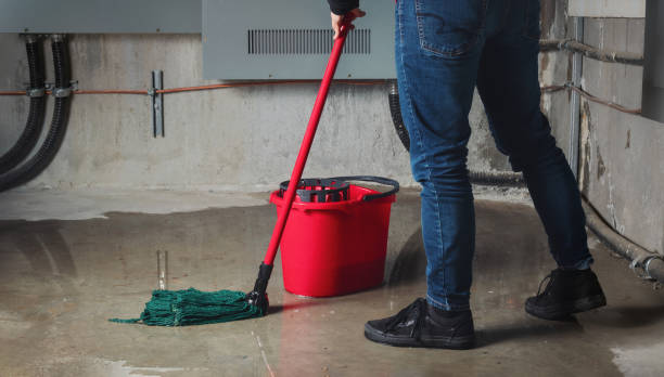 Best Local water damage restoration  in Webster Groves, MO