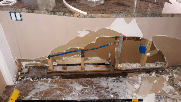 Best Flooded house restoration  in Webster Groves, MO