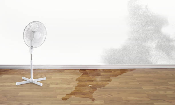 Best 24-hour water damage restoration  in Webster Groves, MO