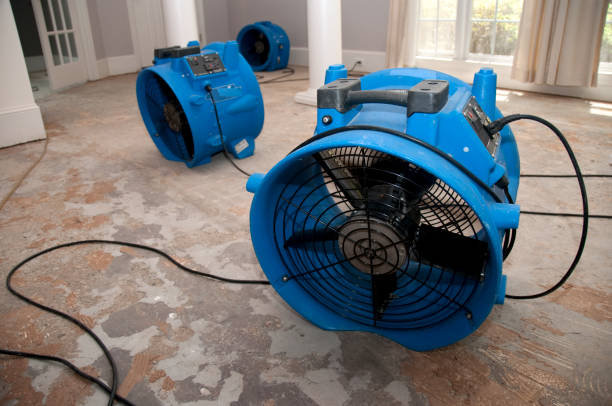 Best Water damage repair service  in Webster Groves, MO