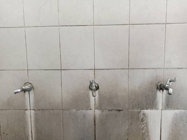 Best Commercial water damage restoration  in Webster Groves, MO