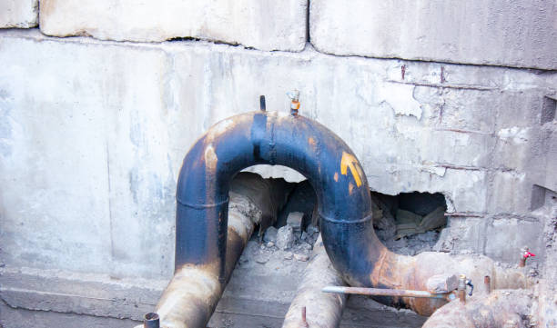 Best Ceiling water damage repair  in Webster Groves, MO