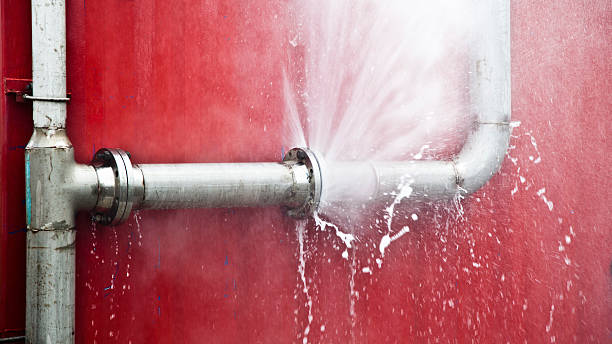 Best Water damage restoration specialists  in Webster Groves, MO